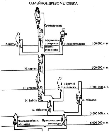 Джаред Даймонд - Третий шимпанзе