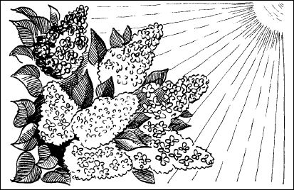 Сборник - Праздники