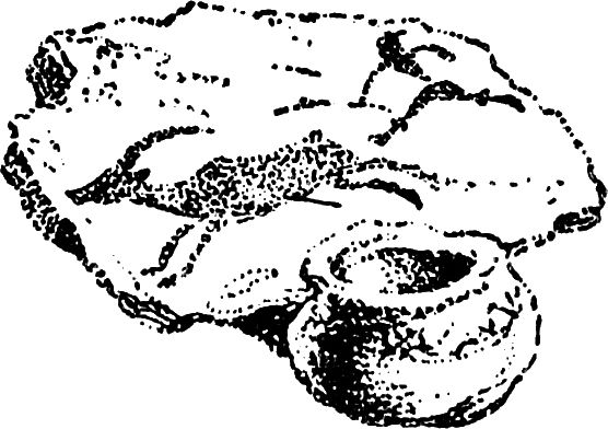 Лидия Обухова - Лилит