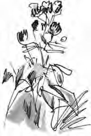 Николай Гарин-Михайловский - Детство Тёмы