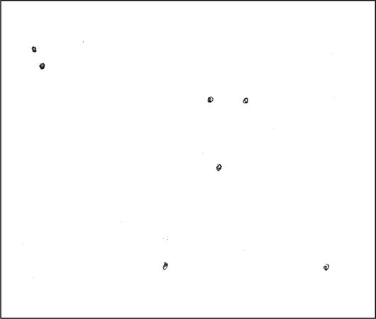 Владимир Жикаренцев - Русь открывает себя