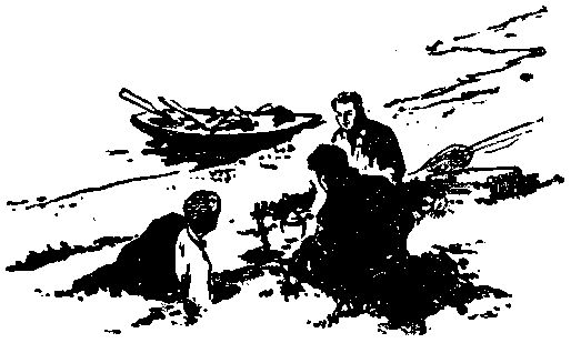 Владимир Немцов - Альтаир (Сборник)