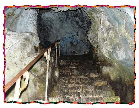 Дина Бакулина - Зачем живут патиссоны?