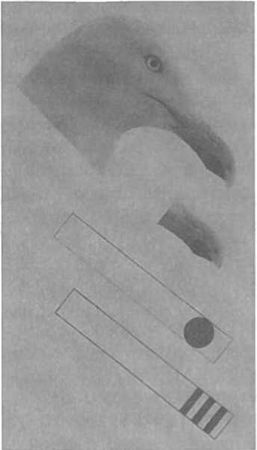 Вилейанур Рамачандран - Мозг рассказывает. Что делает нас людьми