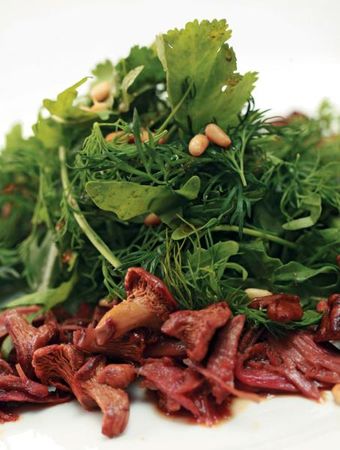 Коллектив авторов - Готовим грибы