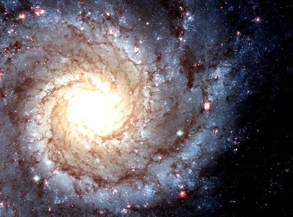 Вирк Вормель - Врата в Ад