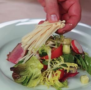 Коллектив авторов - Готовим грибы