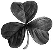 Борис Гребенщиков, Марина Решетина - Аэростат. Течения и Земли