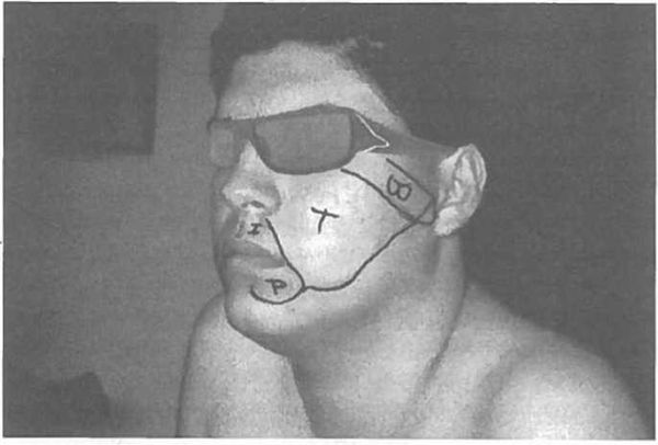 Вилейанур Рамачандран - Мозг рассказывает. Что делает нас людьми