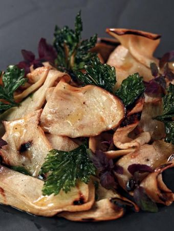 Коллектив авторов - Готовим грибы