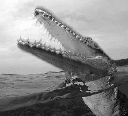 Викентий Преображенский - Удивительная океанология