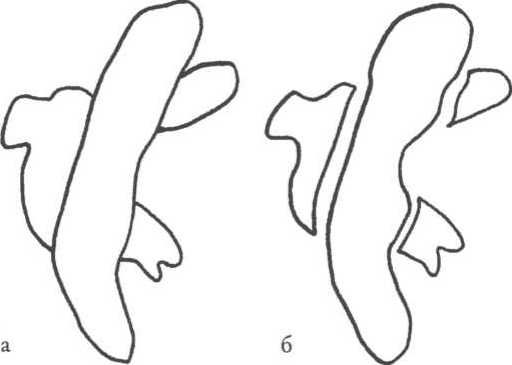 Вилейанур Рамачандран - Мозг рассказывает. Что делает нас людьми