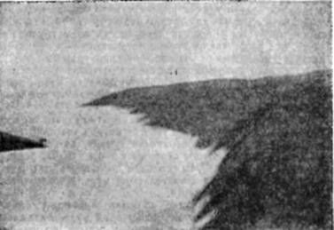 СЕРГЕЙ ОБРУЧЕВ - НА САМОЛЕТЕ В ВОСТОЧНОЙ АРКТИКЕ