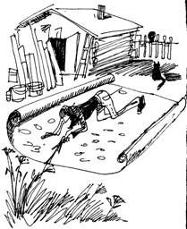 Екатерина Великина - Книга для ПРОчтения