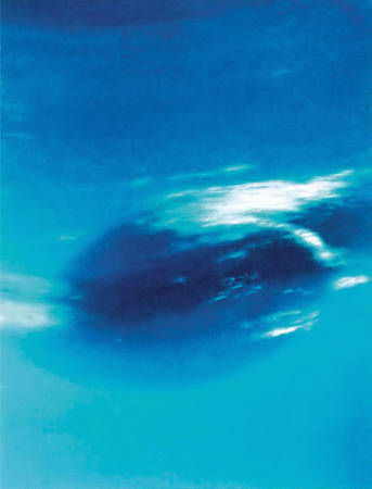 Оксана Абрамова, Борис Пшеничнер - Космос