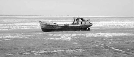 Викентий Преображенский - Удивительная океанология