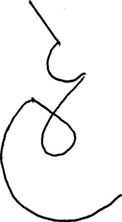 Владимир Жикаренцев - Русь открывает себя