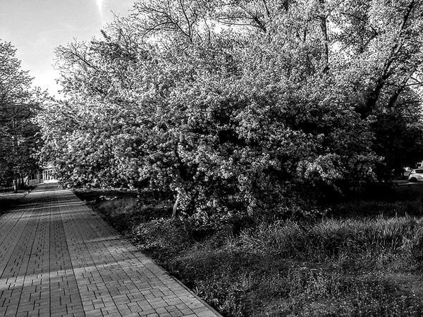 Ирина Малышко - Война маленького человека