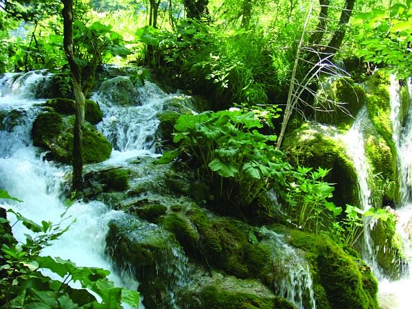 Олёна Ростова - Автограф