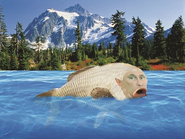 Саша Суздаль - Краплёная масть