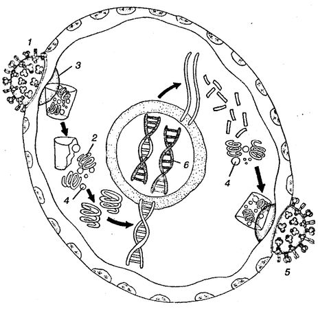 Юлия Касаткина - Я познаю мир. Ботаника