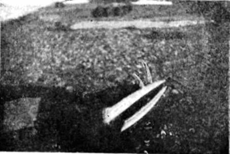 СЕРГЕЙ ОБРУЧЕВ - НА САМОЛЕТЕ В ВОСТОЧНОЙ АРКТИКЕ