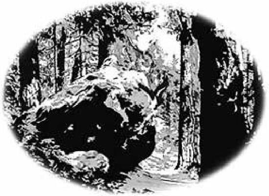 Алексей Чопорняк - Орлы златого века Екатерины