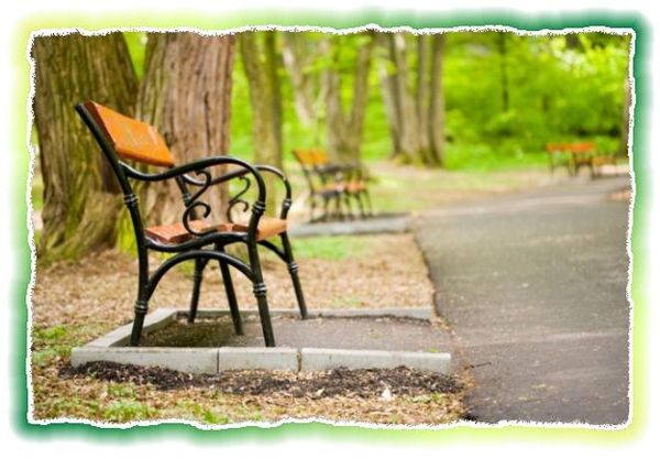 Дина Бакулина - Зачем живут патиссоны?