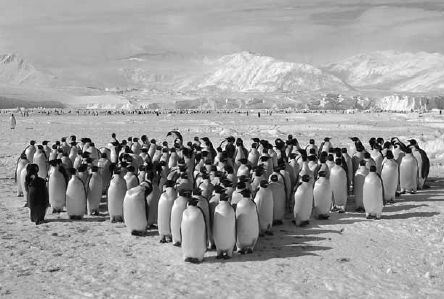 Викентий Преображенский - Удивительная океанология