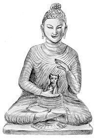 Екатерина Константинова - Домашние кошки