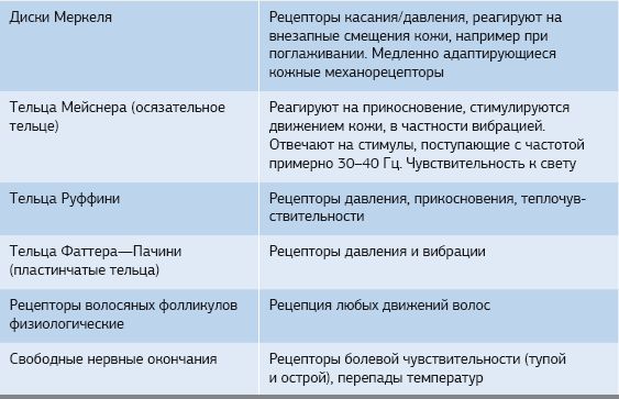 Дмитрий Киселев - Кинезиотейпинг в лечебной практике неврологии и ортопедии