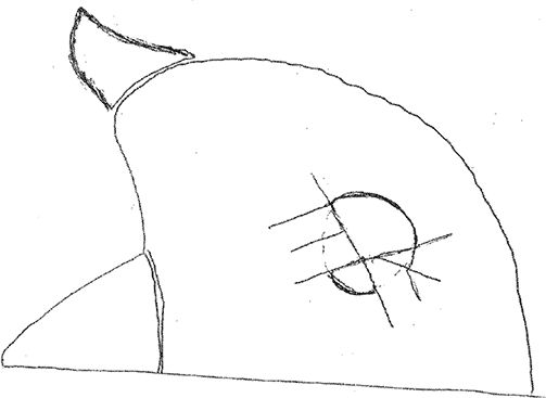 Владимир Жикаренцев - Русь открывает себя