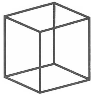 Вилейанур Рамачандран - Мозг рассказывает. Что делает нас людьми