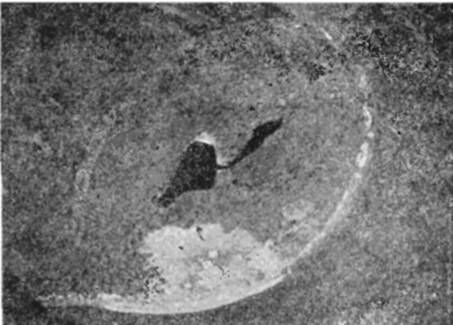 СЕРГЕЙ ОБРУЧЕВ - НА САМОЛЕТЕ В ВОСТОЧНОЙ АРКТИКЕ