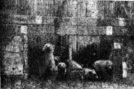 СЕРГЕЙ ОБРУЧЕВ - НА САМОЛЕТЕ В ВОСТОЧНОЙ АРКТИКЕ