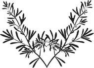 Диета на травах