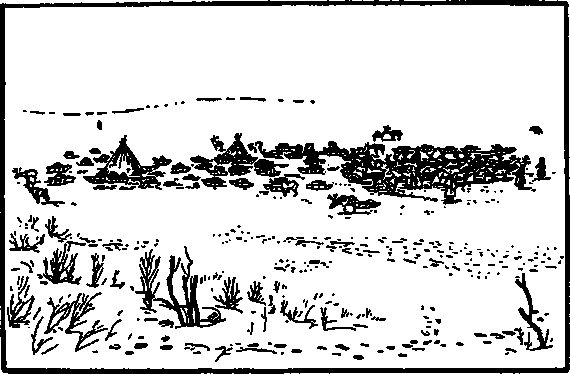 Борис Житков - Тундра и ее богатства