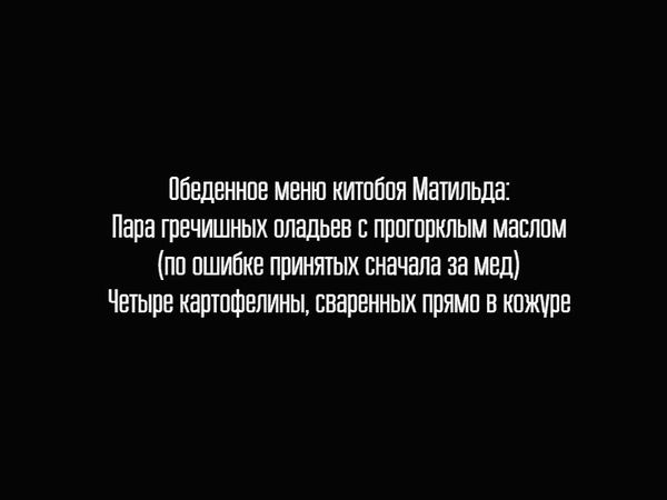 М. Р. Маллоу - Универсальный саквояж миссис Фокс