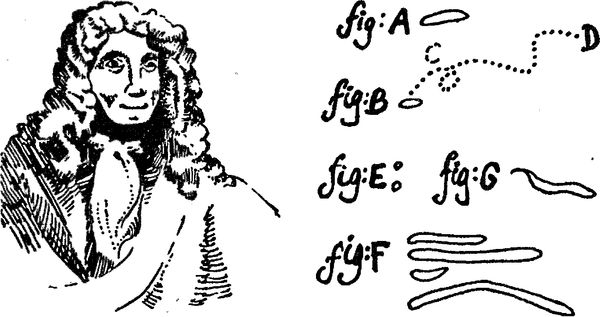 Юлия Касаткина - Я познаю мир. Ботаника