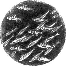 Герберт Уэллс - На дне океана