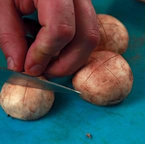 Коллектив авторов - Готовим грибы