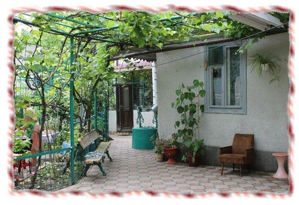 Дина Бакулина - Зачем живут патиссоны?