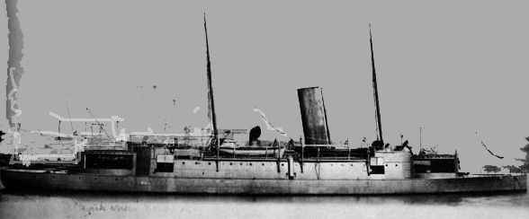 Дмитрий Никитин - Тинг Победитель