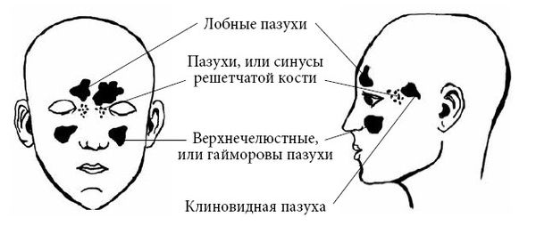 Андрей Яловчук - Если ваш ребенок заболел. Что должны знать и уметь родители
