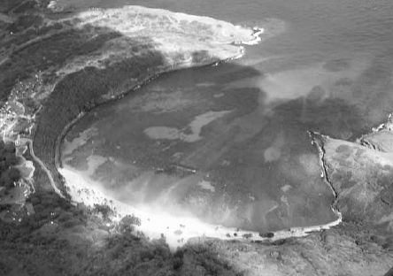 Викентий Преображенский - Удивительная океанология