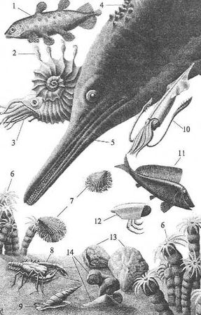 Андрей Журавлёв - До и после динозавров