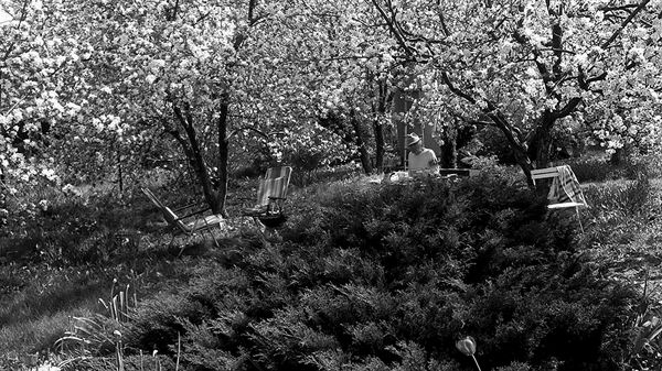 Ирина Малышко - Война маленького человека