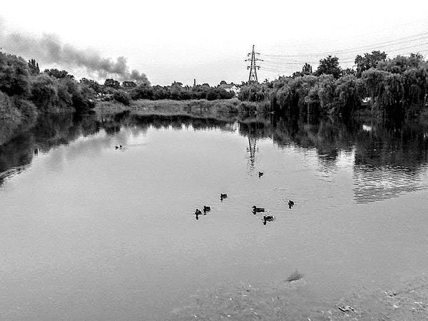 Ирина Малышко - Война маленького человека