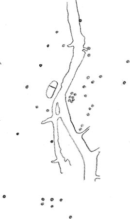 Владимир Жикаренцев - Русь открывает себя