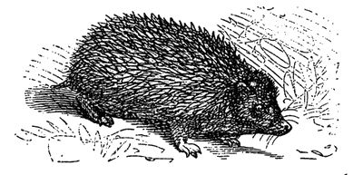 Светозар Чернов - Бейкер-стрит и окрестности